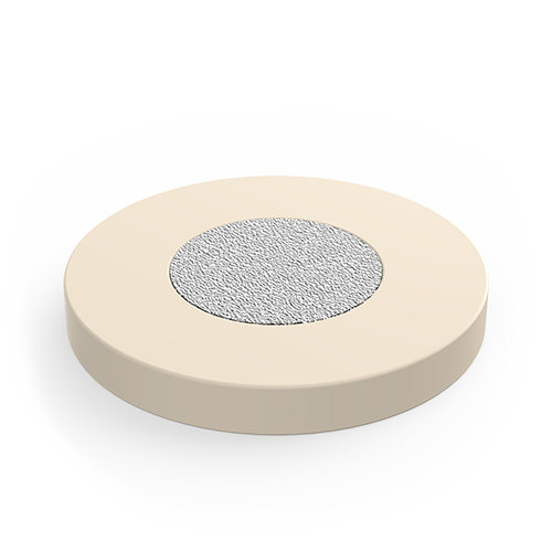 PEEK-Encased Stainless Steel Frits (.25&quot; / 6.35mm Ring OD)